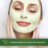 Sudden Change Green Tea Facial Mask 3.4oz (3 Pack)