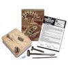4M Kidz Labs Dig a Brachiosaurus Skeleton
