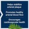 Arterial Protect, 30 vegetarian capsules