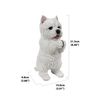 Playing Westie