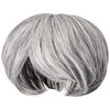 Priscilla GB-24-TGH Men's 5/4 Wig, Medium Short
