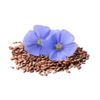 Cold-Pressed Flaxseed Oil - Non-GMO Omega Source - 1 Bottle 100 Softgels