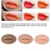 3D Lip Practice Skin,3pcs Tattoo Practice Lips,Silicone Microblading Practice Skin,Fake Skin Tattoo Skin Cosmetic for Tattoo Artists, Beginners Cosmetic Makeup Lips Training