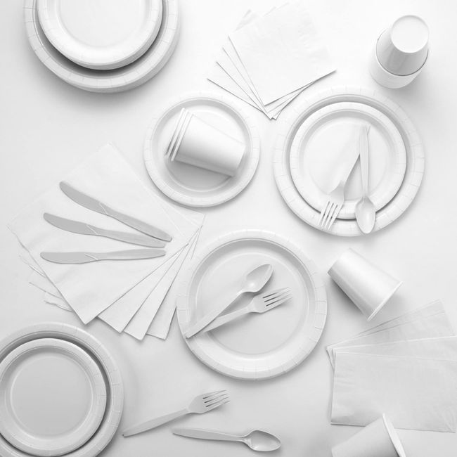 Disposable Plastic Plates White, 7 Inches Plastic Dessert Plates, Strong  and Sturdy Disposable Plates for Party, Dinner, Holiday, Picnic, or Travel  Party Plates, Pack of 50 - By Amcrate 