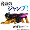 Bandai DX God Hopper