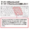 Sanwa Supply NT-21UBK Winding USB Numeric Keypad