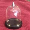 Display Dome With Top Hook And Lighted Base (CR2032 Battery Not Included)