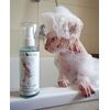 Kotomoda Probiotic shampoo for Sphynx Cats 120 ml