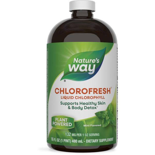 Chloro Fresh Liquid Mint 16.9 fl oz (480 ml)