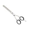 Aashta Hairdressing Scissors 5.5 Inches