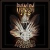 The Bust Of Beelzebub [VINYL]