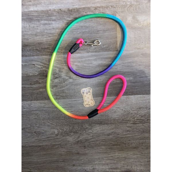 Rainbow dog leash