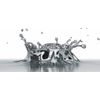 Colloidal&More ~ Pure Colloidal Silver~ complete care for PETS ~