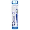 Boiron - Rhus Toxicodendron - 30C (80 Pellet)