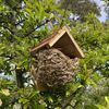 Woven House Martin Bird Nester with Roof