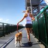 EZYDOG Road Runner Lead - Comfortable Padded Handle, Reflective Thread, 1.8M (Grey) for Small, Medium & Large Dogs