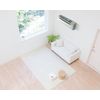 Cogit Power Bio Air Conditioner Mold Clean Mold and Deodorizing, Replacement Estimate: 3 Months