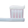 [Third drug class] Dent Health B 45g