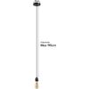 LEDSone Hanging Pendant Light, E27 Indoor/Outdoor Rainproof Lamp Holder- 2m Cable,(Black)