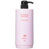 Abreze TR Series Dedicated Hair Pack Cartridge Container