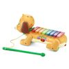 VTech Zoo Jamz Doggy Xylophone