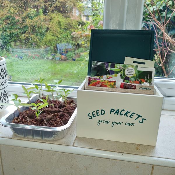 e-pots Seed Packet Storage Box | Cream