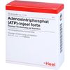ATP Injeel forte Ampullen 10 St