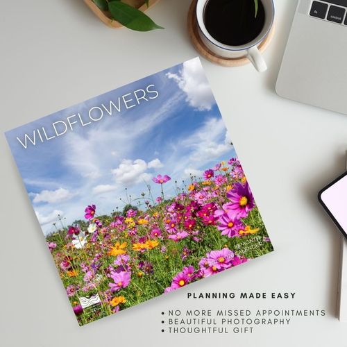 July 2025- December 2026 Wild Flowers Wall Calendar 18 Month | 12" x 24" Open | Giftable Nature Calendar 2026 | Thick & Sturdy Paper for Organizing & Planning | Pacific Waters Press (Wild Flowers)