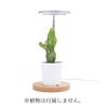 Oroharite LED Light for Plant Growing (Purple(Pink))