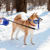 Adjustable Dog Muzzle, Dog Head Collar Prevent Biting Barking, Durable Pet Muzzle Chew-Resistant, for Walking, Training, Grooming,(M)