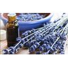 Lavender Essential Oil, 100% Pure and Concentrated, 15 ml