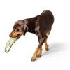 HUNTER Hundespielzeug Koloa Größe 24 cm, Farbe Shakespear