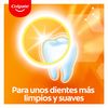 COLGATE Anti-Tartar + WHITENING Toothpaste 75 ML