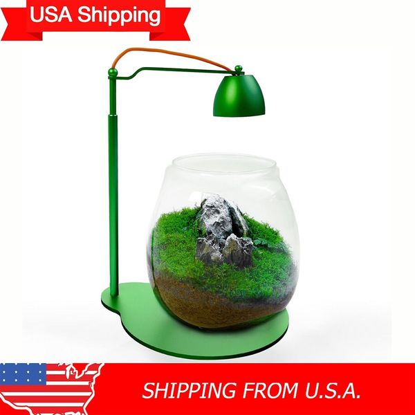 USA Shipping Home Office Tabletop Deco with Moss Micro Landscape Terrarium Set