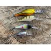 Bandit Walleye Shad - Fruit Dots - 2 11/16"
