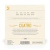 D'Addario EJ96 Cuatro-Puerto Rico Strings