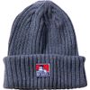 Ben Davis BDW-9500 Men's Knitted Beanie