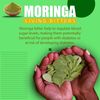 Moringa, Sea Moss, Ginger Living Bitters - Herbal Supplement - 16oz