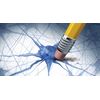 Energy boost&focus supplement-BRAIN & MEMORY BOOSTER- brain concentration - 1 B