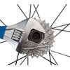 Park Tool BBT-5/ FR-11 Bottom Bracket/Cassette Lockring Campagnolo Record Chorus Tool, Black