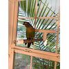 Polly's Deluxe Window and Shower Bird Perch, Small