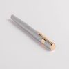 Hugo Boss Gear Pinstripe Silver/Gold Rollerball Pen