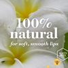 Burts Bees Watermelon Lip Balm