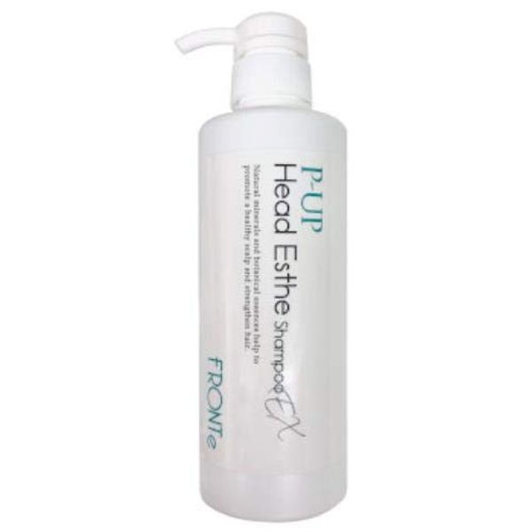 P-UP Head Beauty Shampoo EX 16.9 fl oz (480 ml)