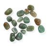 The Chrysalis Stone | Tumbled Stone | Green Aventurine | 0.75” - 1.25” | 1 Pc