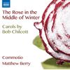 Chilcott: Rose In Winter