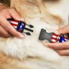 Buckle-Down 8-12" Puerto Rico Flag Repeat/Black Plastic Clip Collar, Narrow Medium