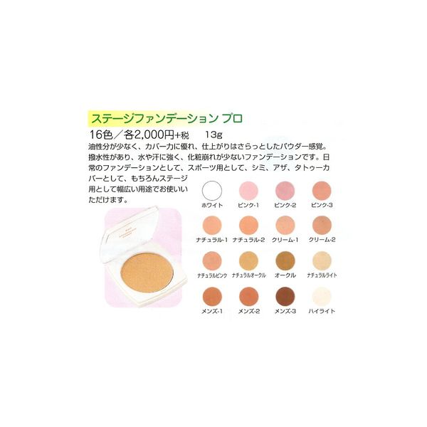 Stage Foundation Professional G, Highlight [三善]