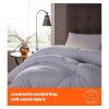 Silentnight Warm & Cosy 15 Tog Duvet Single