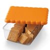 Snips Rectangular Biscuit Saver, Brown/Clear